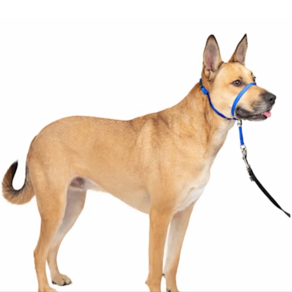 PetSafe Other - Petsafe Gentle Leader Headcollar